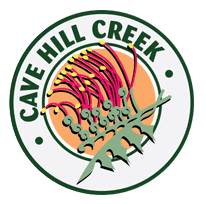 Cave Hill Creek